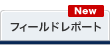 フィールドレポート