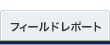 フィールドレポート