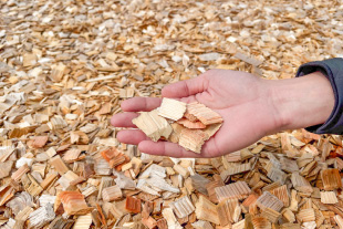 ウッドチップを手に持って大きさや詳細を示している様子。