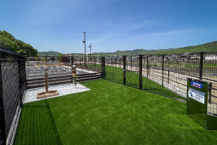 ドッグパーク、排泄スペースとシャワーコーナーの画像。奥にはドッグパークの遊び場が映っている