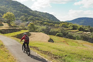 棚田のある道を1人の男性がEバイクで走っている様子