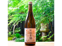 矢掛ビジターセンター問屋で取り扱ている「矢掛本陣」のラベルがついた酒瓶