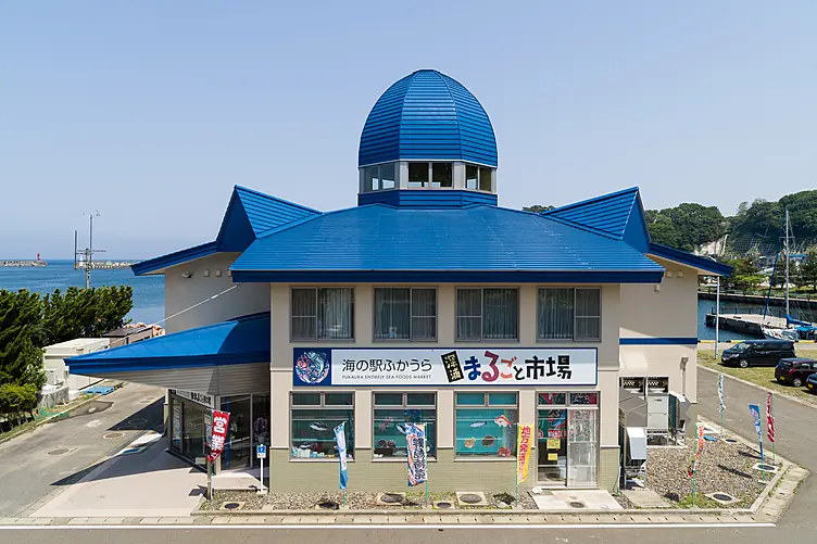 イメージ画像