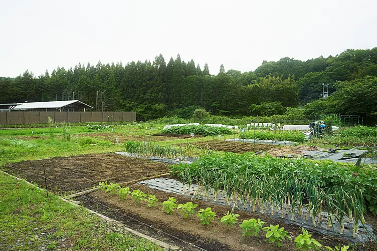 イメージ画像