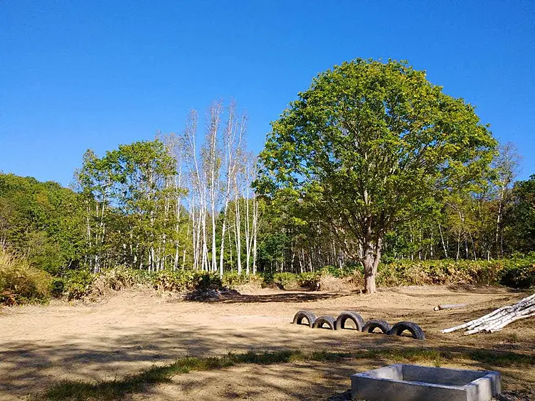 イメージ画像