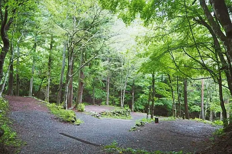 イメージ画像
