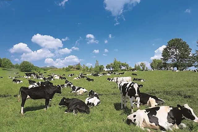 帯広市畜産研修センター（カウベルハウス）