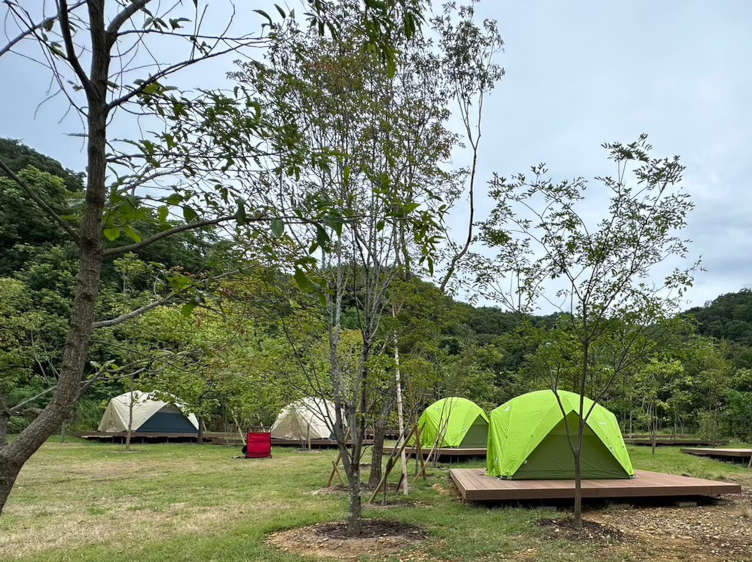 新稲の森キャンプ場