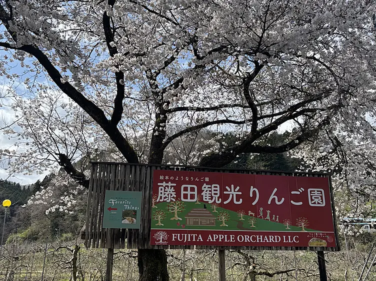 藤田観光りんご園