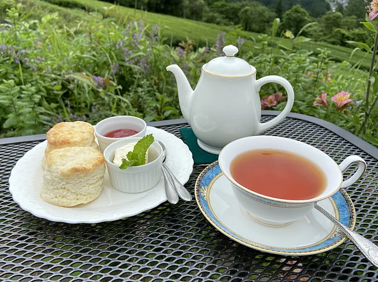 アーリーモーニング