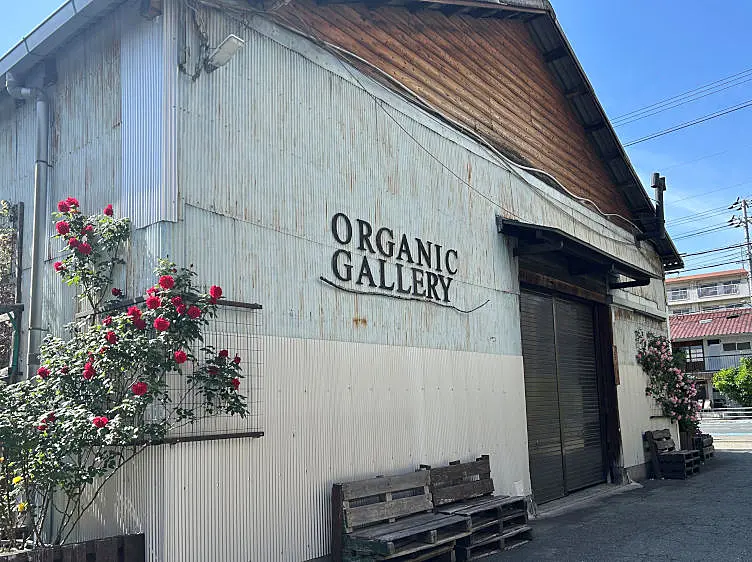 ORGANIC GALLERY