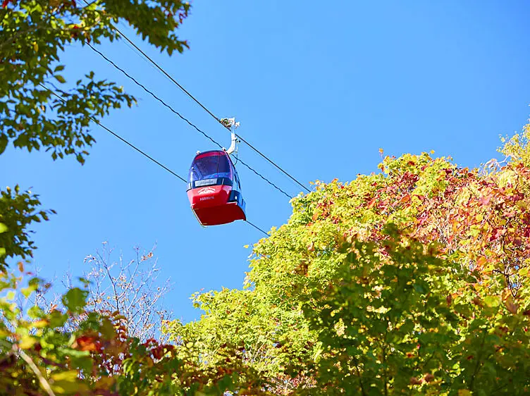 赤倉観光リゾートスキー場