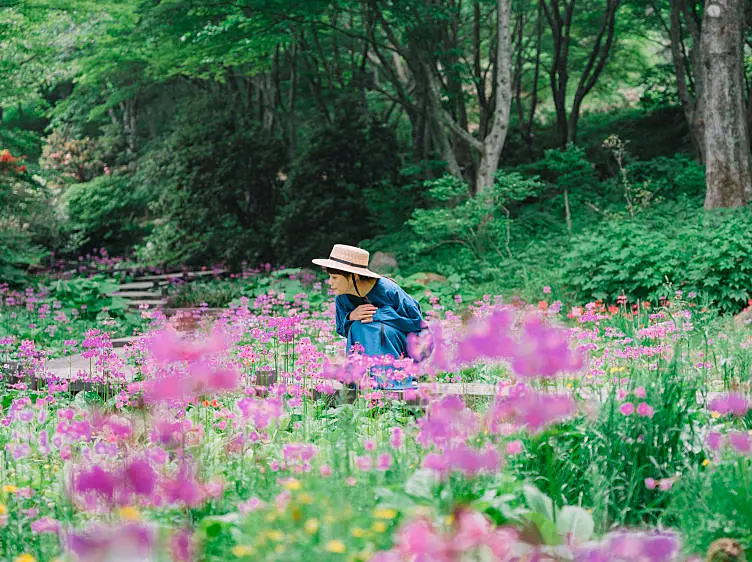 六甲高山植物園
