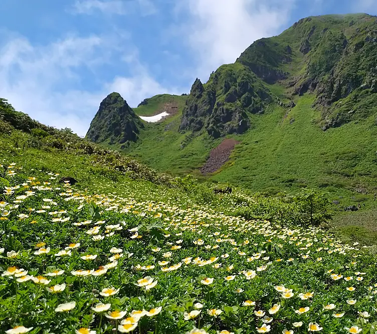 株式会社 ちんぐるまツアーズ