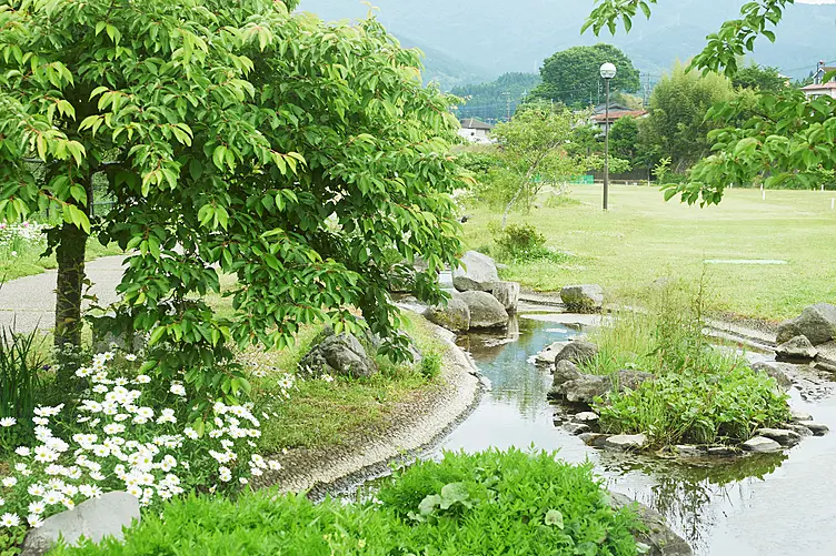 イメージ画像