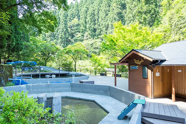 イメージ画像