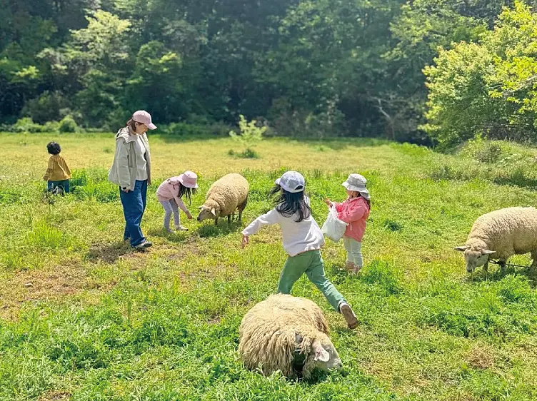 自然育児 森のわらべ多治見園