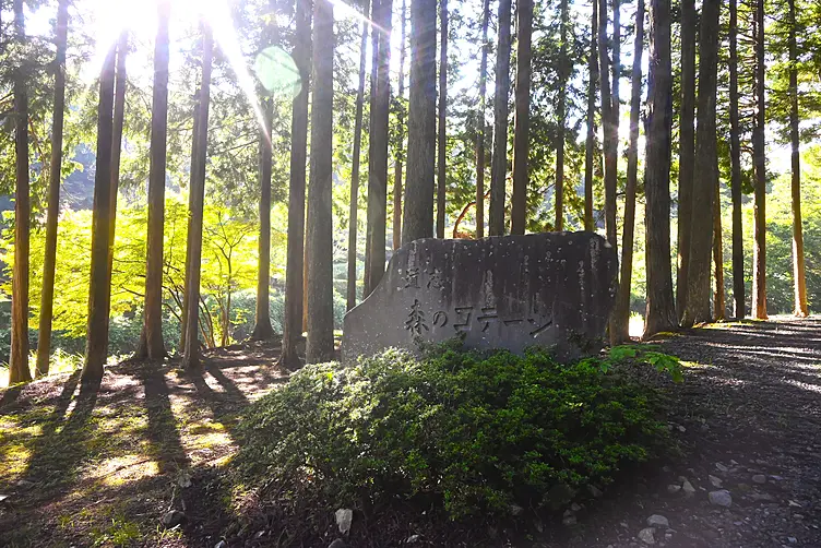 イメージ画像