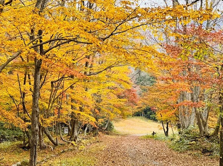 ひろしま県民の森